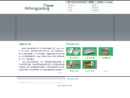 Website Snapshot of WENZHOU FEIHONG PACKING CO., LTD.